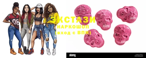 шишки Белокуриха