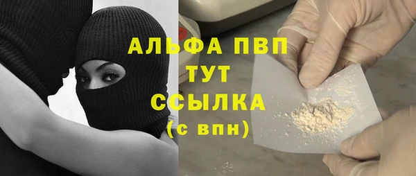 шишки Белокуриха