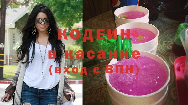 шишки Белокуриха