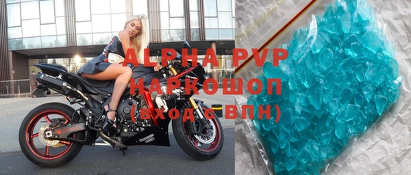 шишки Белокуриха