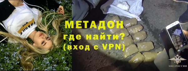 шишки Белокуриха